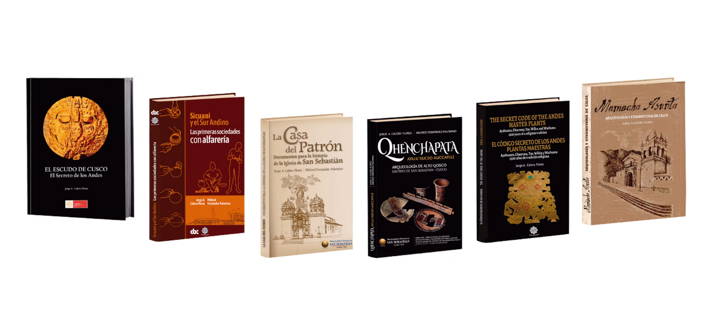 Punchao research publications and field notebooks